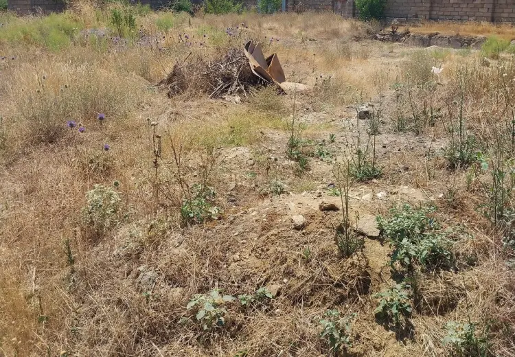 12 sot Torpaq Satılır, Sabunçu, Bakı