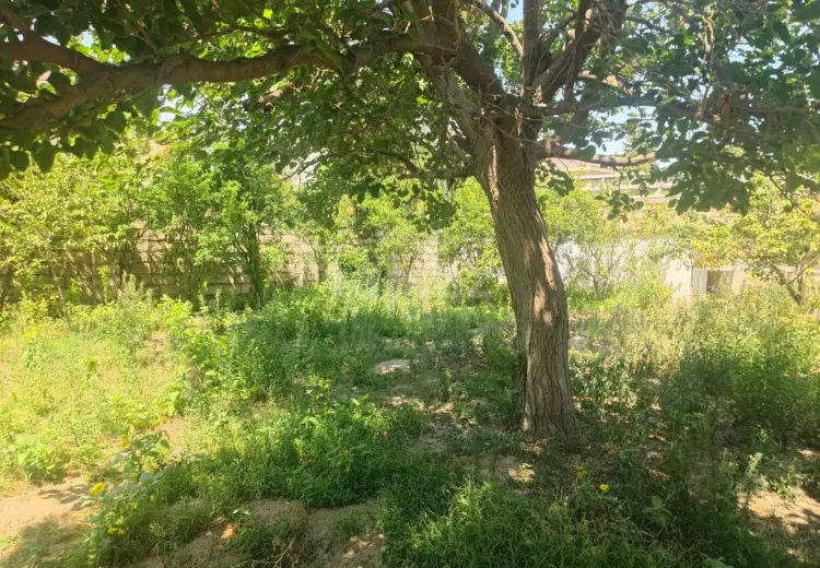 5 otaqlı mənzil , Sumqayıt