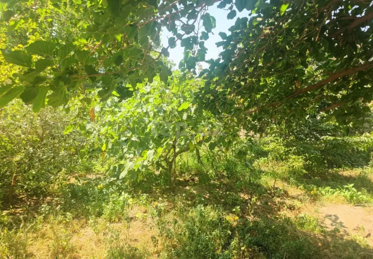 5 otaqlı mənzil , Sumqayıt