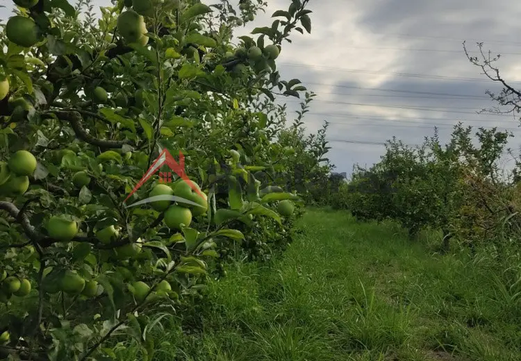 2713 sot Torpaq Satılır, Xaçmaz