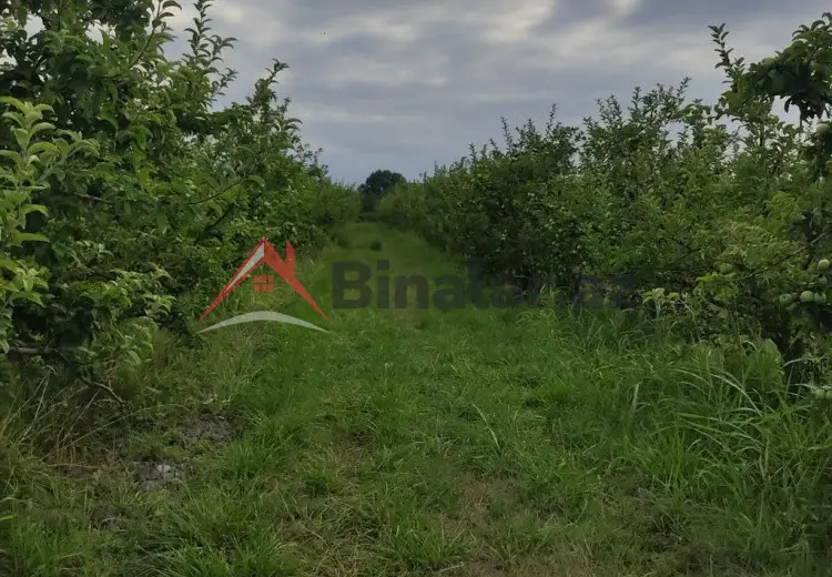 2713 sot Torpaq Satılır, Xaçmaz