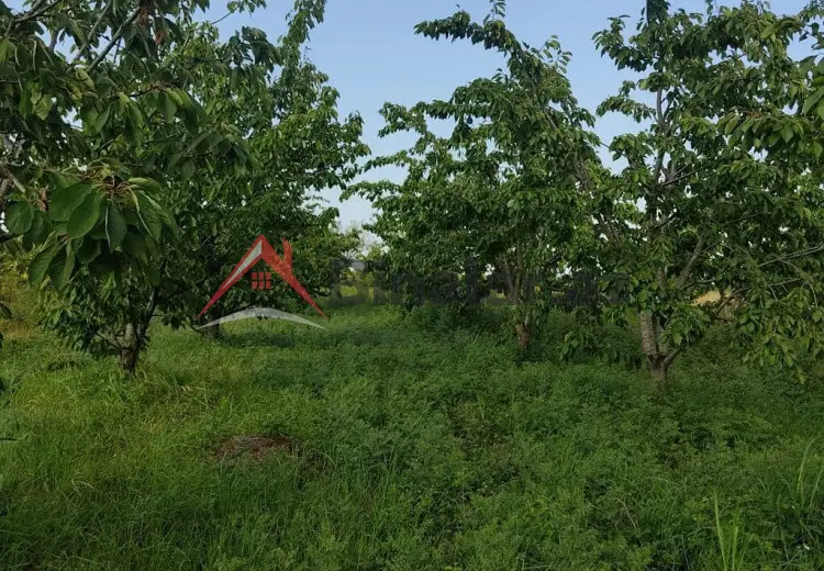 2713 sot Torpaq Satılır, Xaçmaz