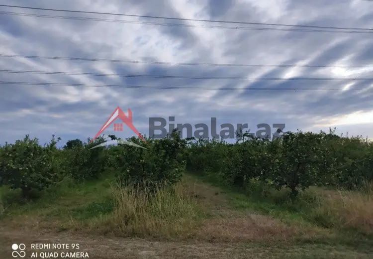 2713 sot Torpaq Satılır, Xaçmaz