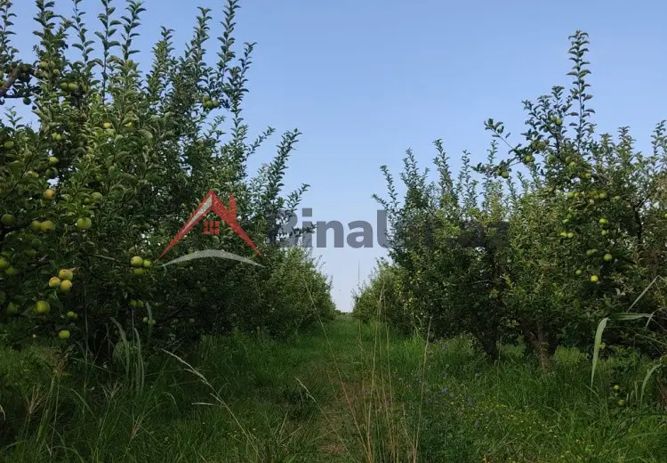 2713 sot Torpaq Satılır, Xaçmaz
