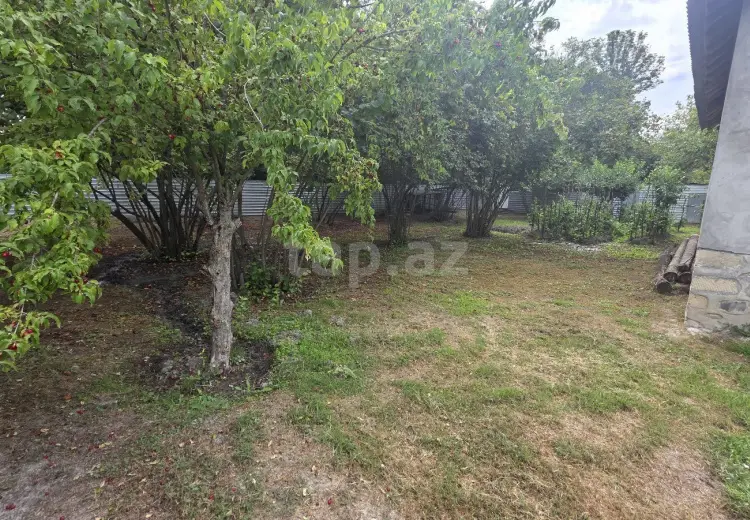 3 otaqlı mənzil , Oğuz