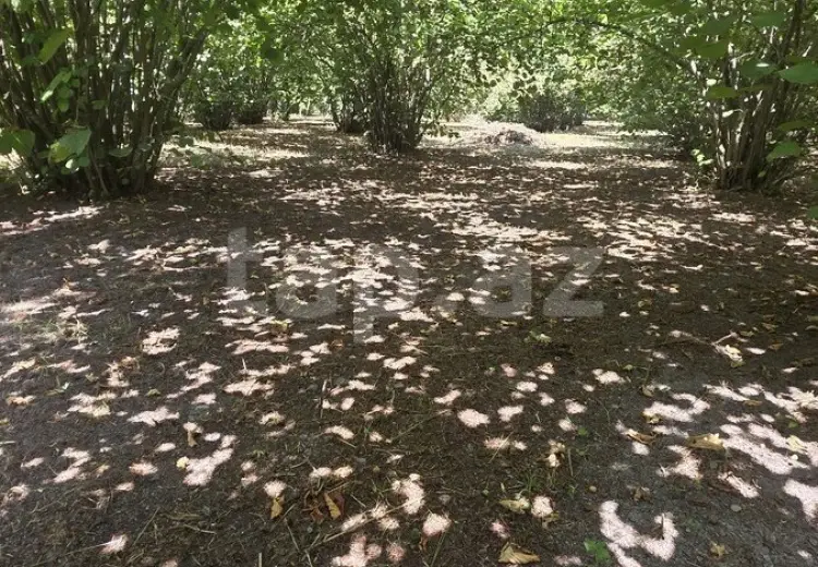 3 otaqlı mənzil , Oğuz
