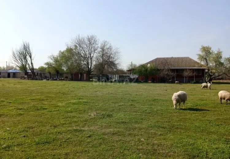 100 sot Torpaq Satılır, Sabirabad