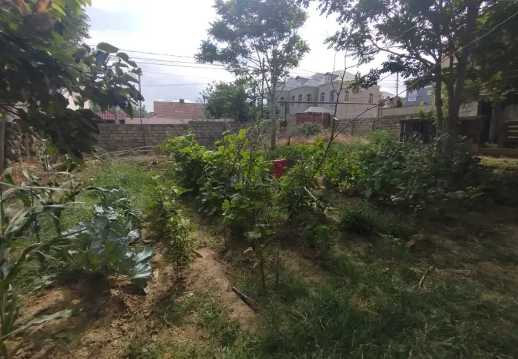 7 sot Torpaq Satılır, Badamdar qəs., Səbail, Bakı