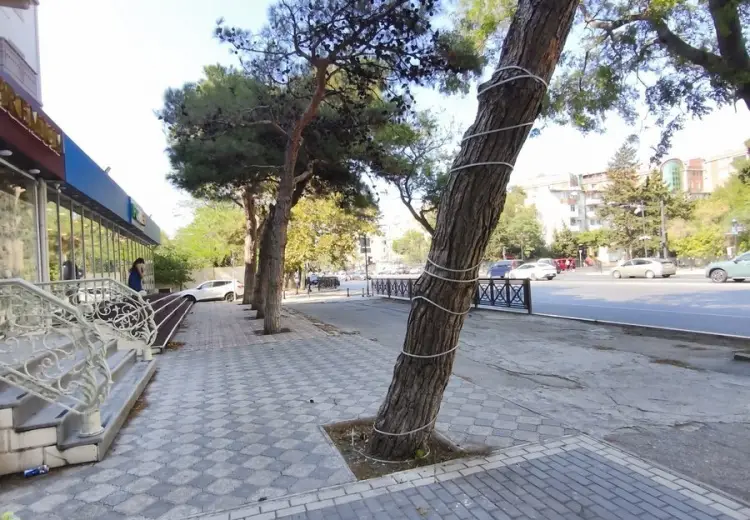 100 m² Obyekt / Ofis Kirayə (aylıq), Nərimanov, Bakı