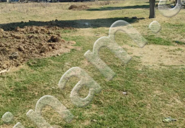 50 sot Torpaq Satılır, Sabunçu, Bakı