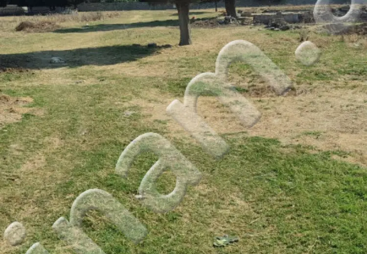 50 sot Torpaq Satılır, Sabunçu, Bakı
