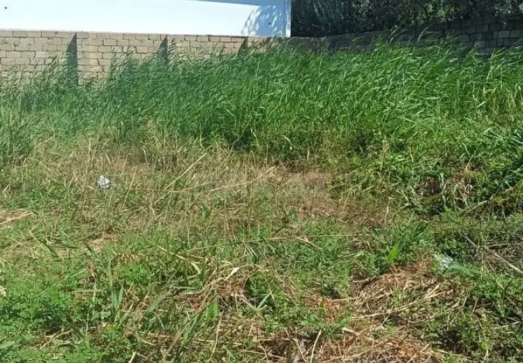 5.5 sot Torpaq Satılır, Novxanı, Abşeron