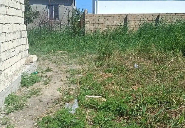5.5 sot Torpaq Satılır, Novxanı, Abşeron