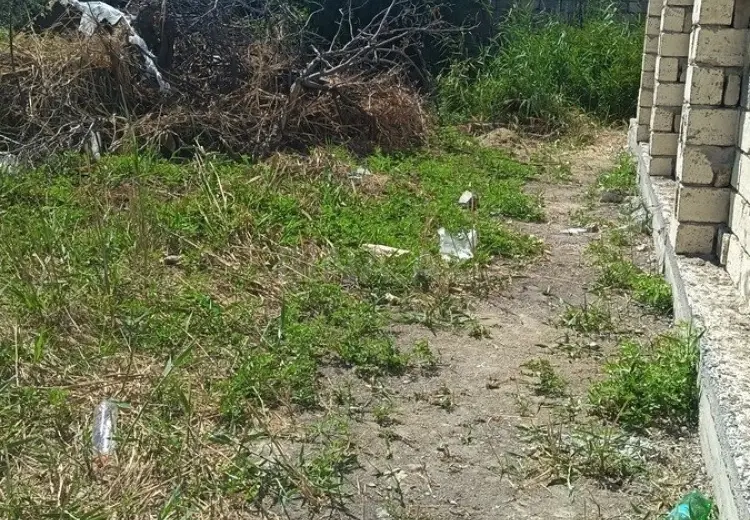 5.5 sot Torpaq Satılır, Novxanı, Abşeron
