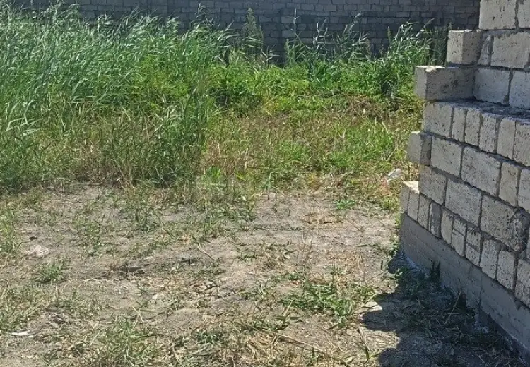 5.5 sot Torpaq Satılır, Novxanı, Abşeron