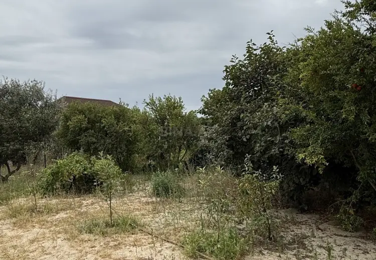 4.5 sot Torpaq Satılır, Goradil, Abşeron