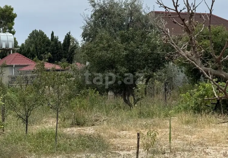 0 m² Obyekt / Ofis , Bakı