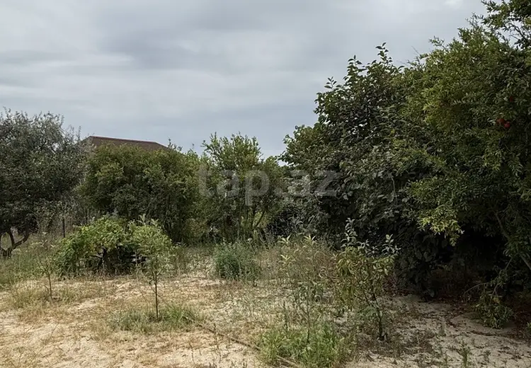 0 m² Obyekt / Ofis , Bakı