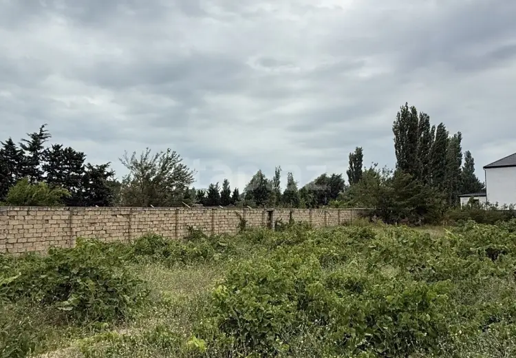 0 m² Obyekt / Ofis , Bakı
