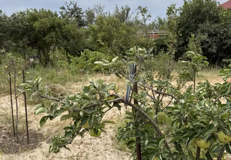 0 m² Obyekt / Ofis , Fatmayı, Abşeron