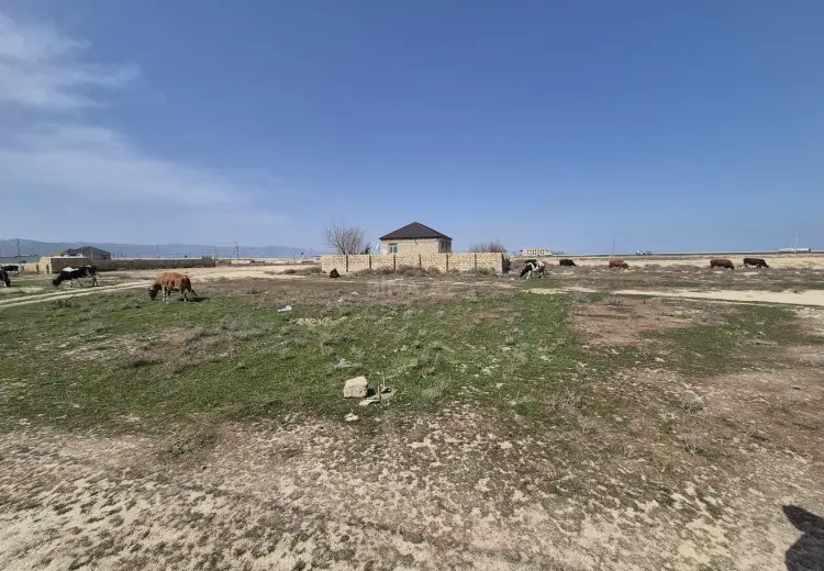 6 sot Torpaq Satılır, Sumqayıt
