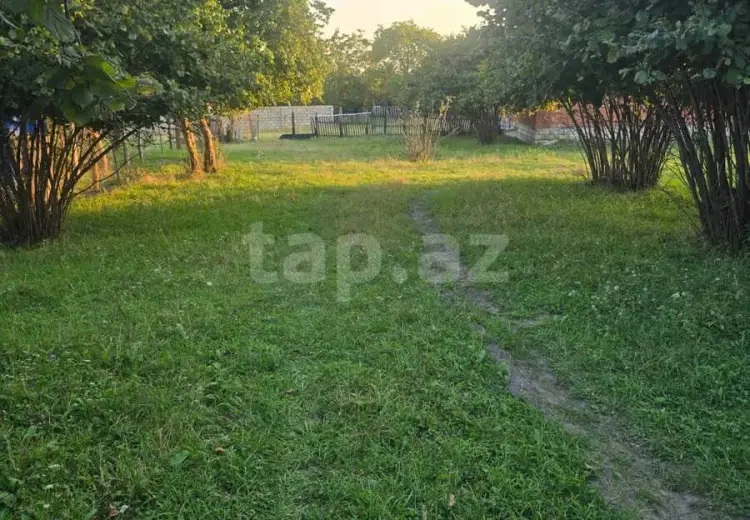 0 m² Obyekt / Ofis , Zaqatala