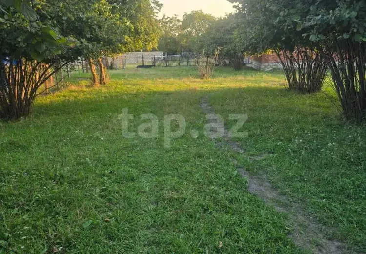 0 m² Obyekt / Ofis , Zaqatala