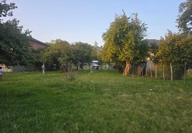 0 m² Obyekt / Ofis , Zaqatala