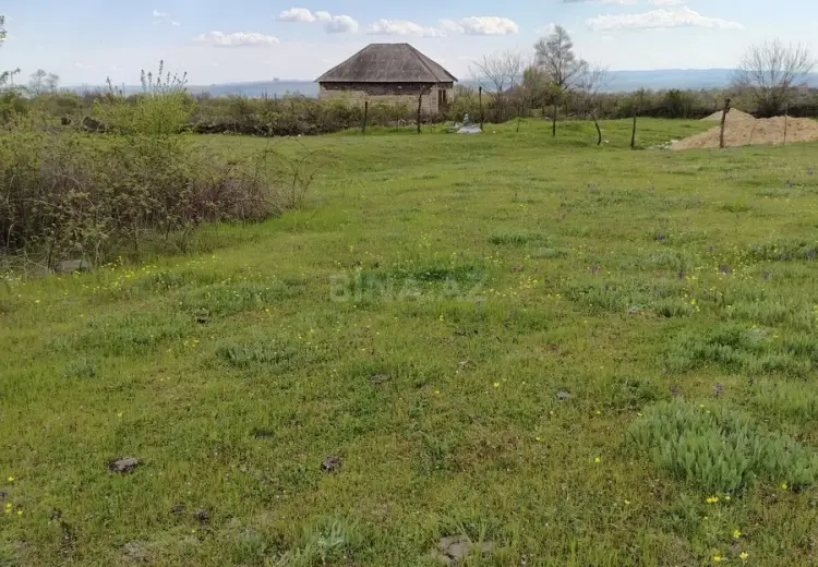 5 sot Torpaq Satılır, Qəbələ