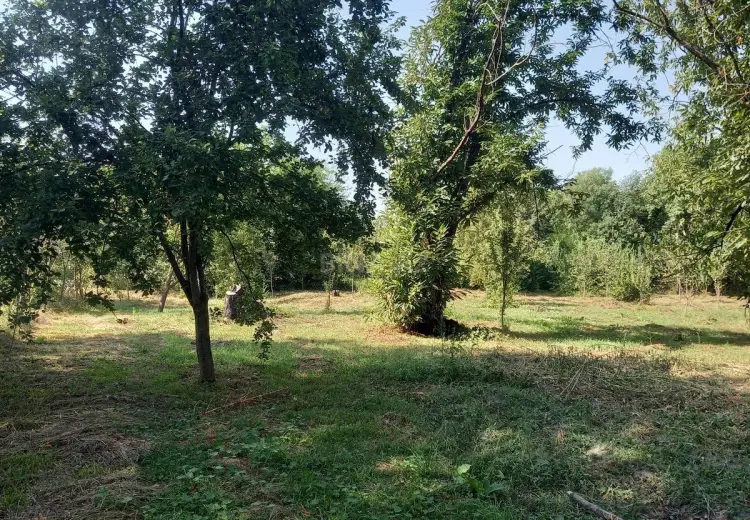 45 sot Torpaq Satılır, Qəbələ