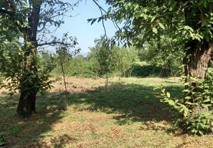 45 sot Torpaq Satılır, Qəbələ