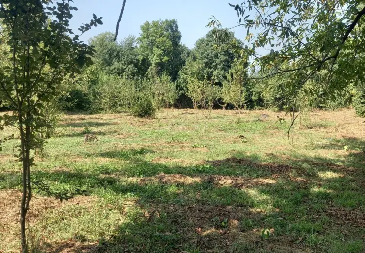 45 sot Torpaq Satılır, Qəbələ