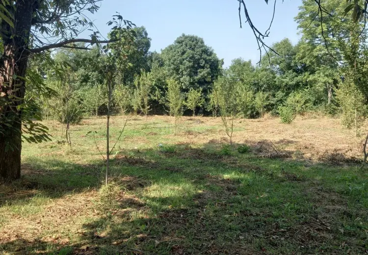 45 sot Torpaq Satılır, Qəbələ