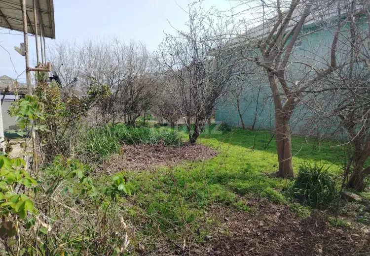 8 otaqlı mənzil , Neftçala