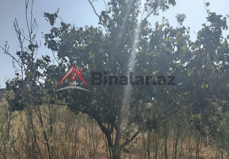 5 otaqlı mənzil Satılır, Sumqayıt