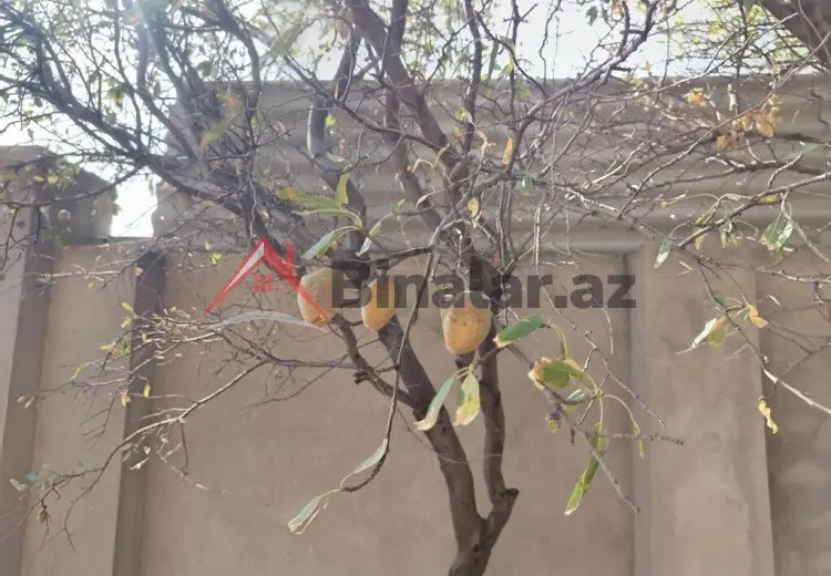 5 otaqlı mənzil Satılır, Sumqayıt