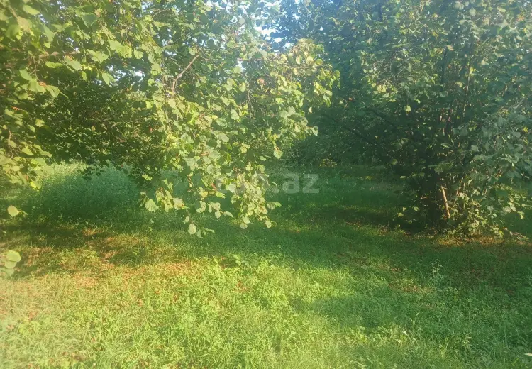 0 m² Obyekt / Ofis , Qəbələ