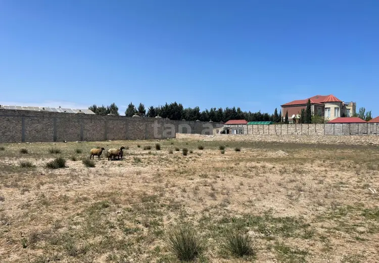 0 m² Obyekt / Ofis , Mərdəkan, Xəzər, Bakı