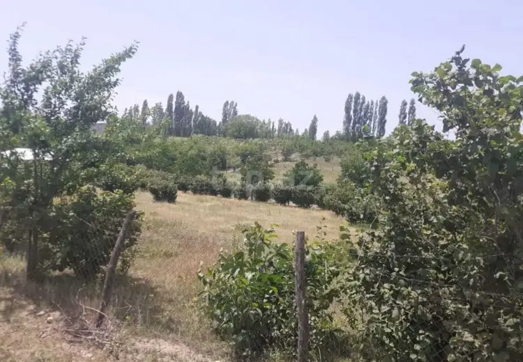 0 m² Obyekt / Ofis , Qusar