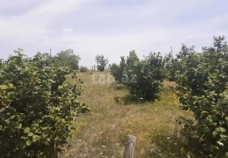 0 m² Obyekt / Ofis , Qusar
