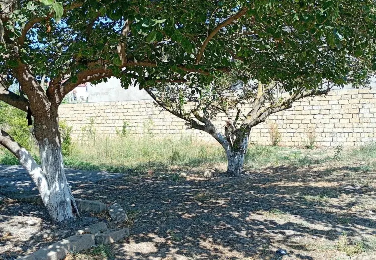 4 otaqlı mənzil , Sumqayıt