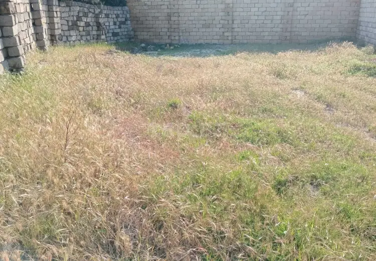 0 m² Obyekt / Ofis , Sumqayıt