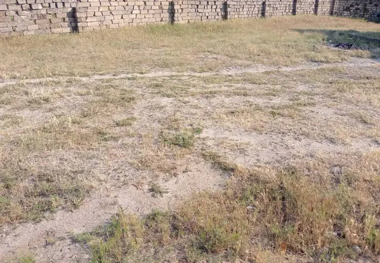 0 m² Obyekt / Ofis , Sumqayıt
