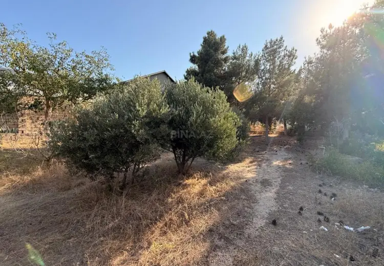 19 sot Torpaq Satılır, Mərdəkan, Xəzər, Bakı
