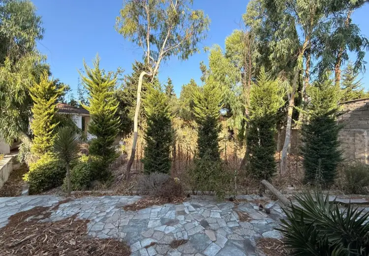 19 sot Torpaq Satılır, Mərdəkan, Xəzər, Bakı
