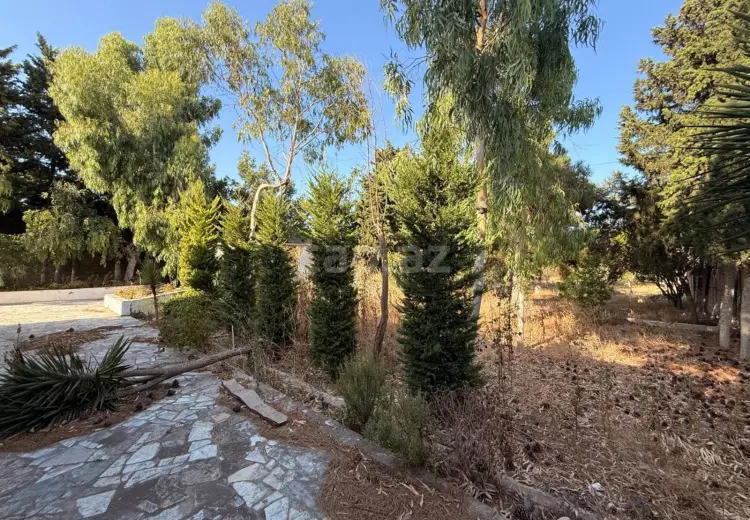 0 m² Obyekt / Ofis , Mərdəkan, Xəzər, Bakı
