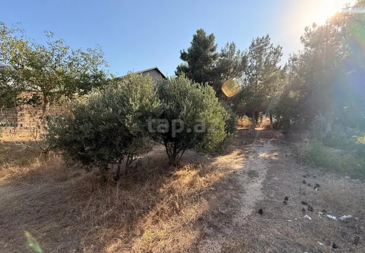 0 m² Obyekt / Ofis , Mərdəkan, Xəzər, Bakı