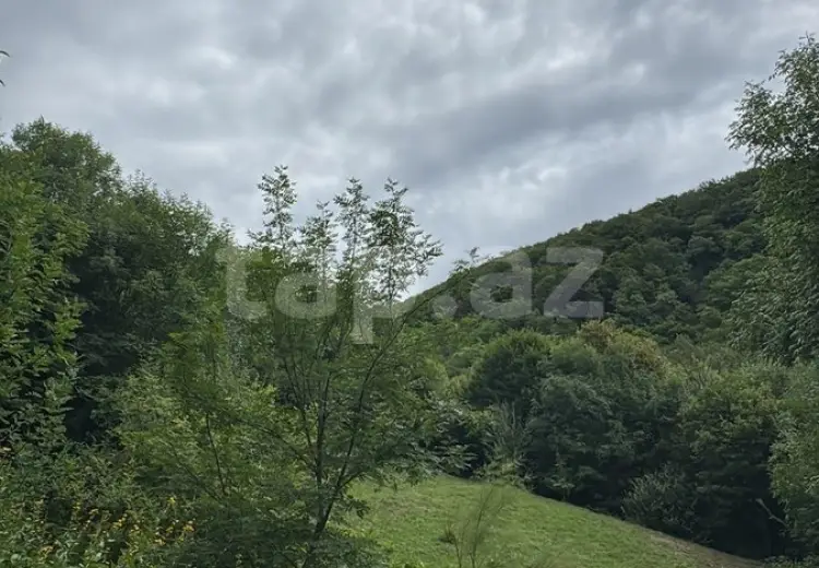 0 m² Obyekt / Ofis , İsmayıllı