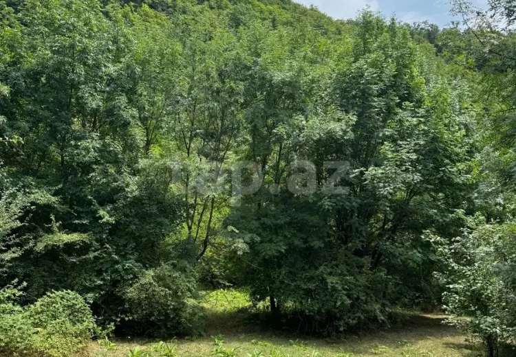 0 m² Obyekt / Ofis , İsmayıllı