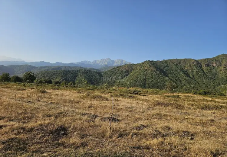 3000 sot Torpaq Satılır, Qəbələ